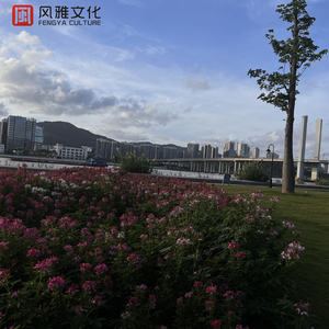 俄罗期毛多肥女BBw
